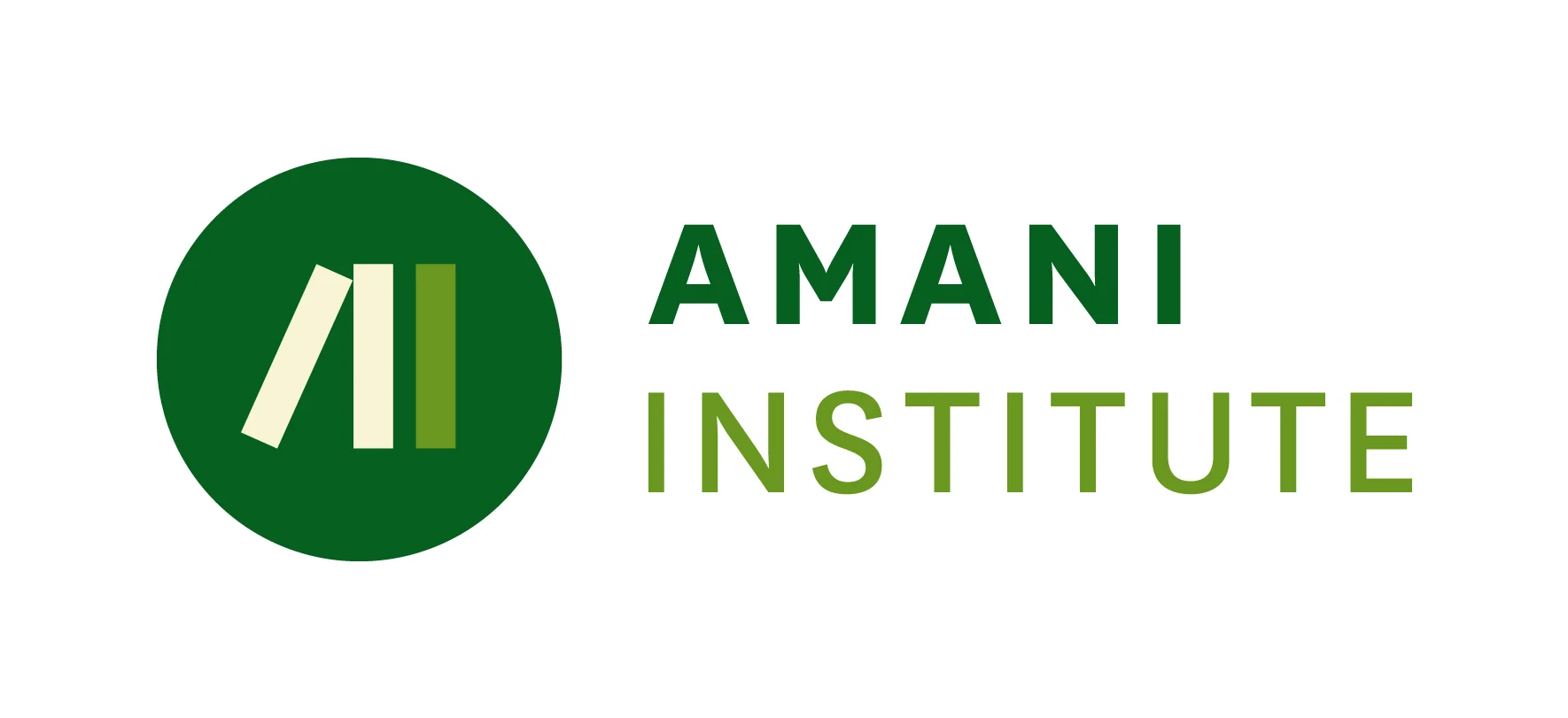 Amani Institute — Cara Events client logo